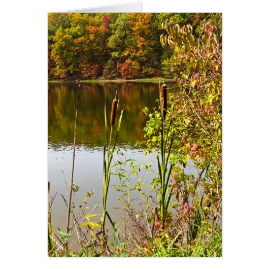 Fall at Farm Cards (Front)