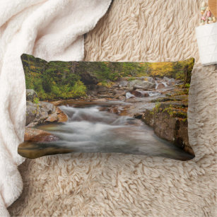 Fall at Jefferson Brook, New Hampshire Lumbar Pillow