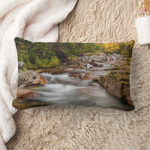 Fall at Jefferson Brook New Hampshire Lumbar Pillow