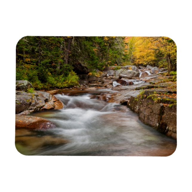 Fall at Jefferson Brook, New Hampshire Magnet (Horizontal)