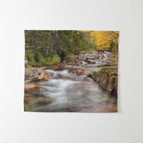 Fall at Jefferson Brook New Hampshire Tapestry