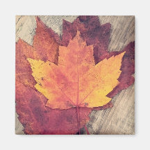 Fall Autumn Leaves Magnet