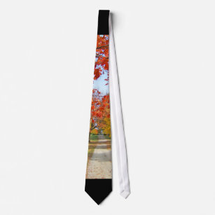 Fall Autumn Leaves Tie
