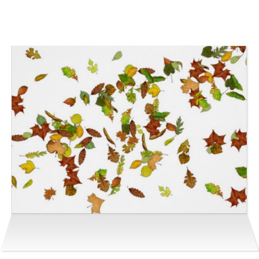 FALL / AUTUMN LEAVES,White (Inside Horizontal (Top))