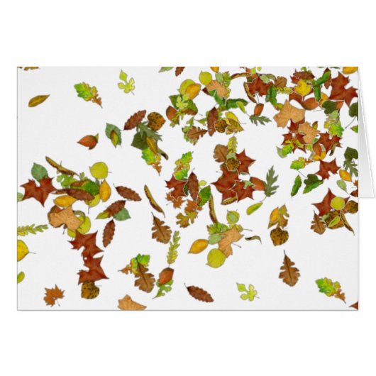 FALL / AUTUMN LEAVES,White Cards (Front Horizontal)