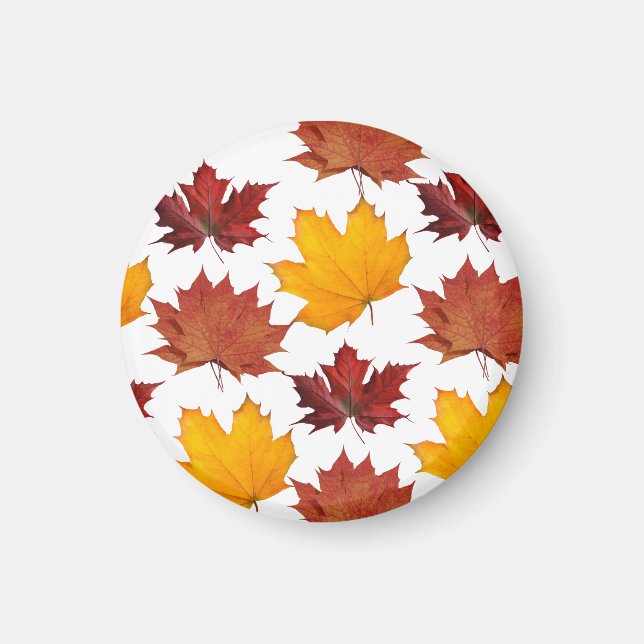 Fall Autumn maple leaves Magnet (Front)