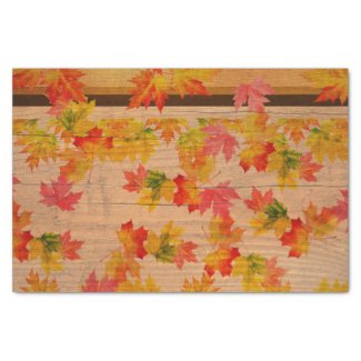 Fall Autumn Maple Leaves On Barn Wood