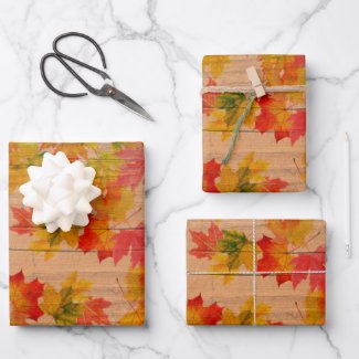Fall Autumn Maple Leaves On Barn Wood