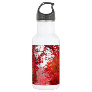 Fall Autumn Season Forest Park Shower Leaf Leaves Water Bottle