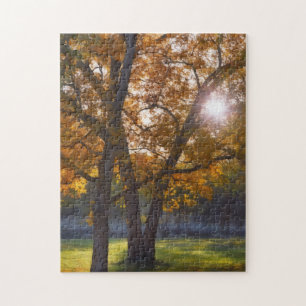 Fall Autumn Season Trees Sunshine Art Puzzle