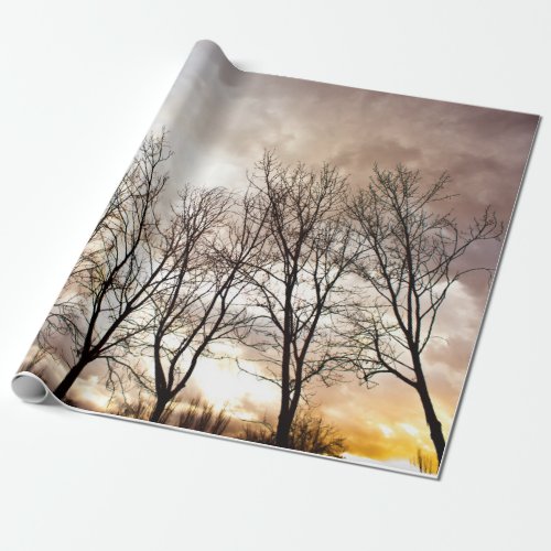Fall autumn trees at sunset wrapping paper