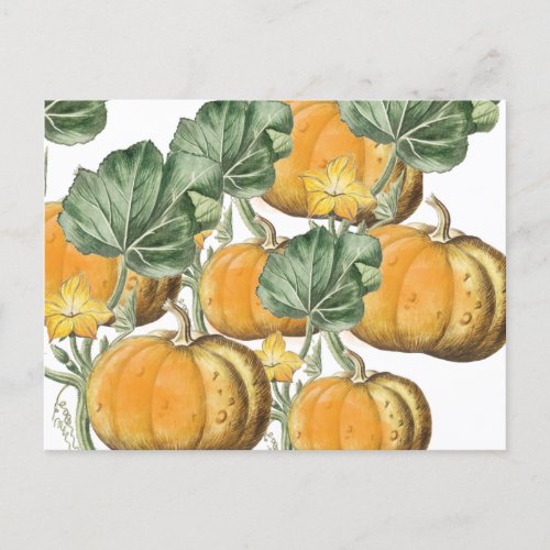 Fall Autumn Watercolor Vintage Pumpkins  Holiday Postcard