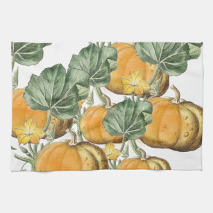 Fall Autumn Watercolor Vintage Pumpkins  Kitchen Towel