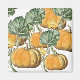 Fall Autumn Watercolor Vintage Pumpkins  Magnet