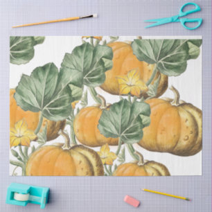 Fall Autumn Watercolor Vintage Pumpkins Tissue Paper