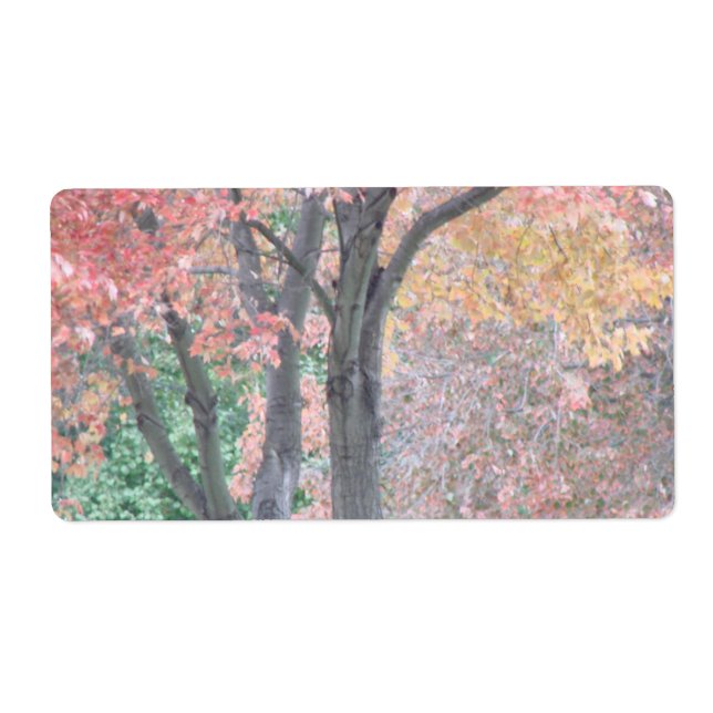 Fall Beauty Label (Front)