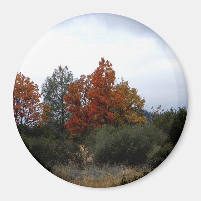 Fall beauty.... magnet (Front)