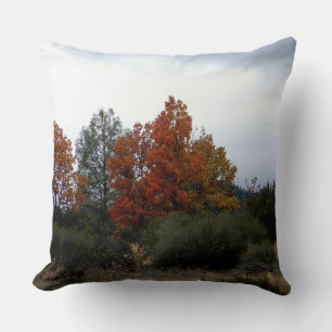 Fall beauty.... throw pillow