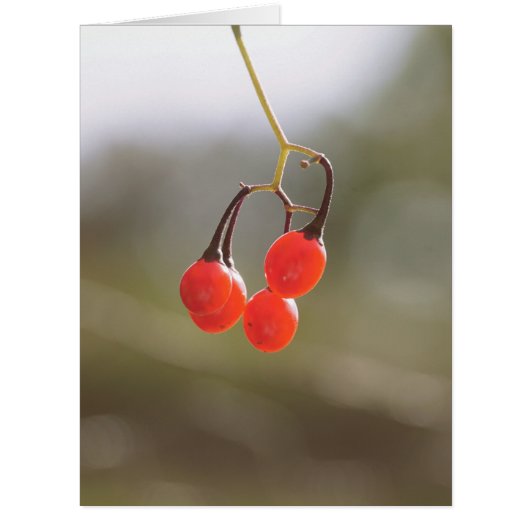 Fall Berries. Cards (Front)