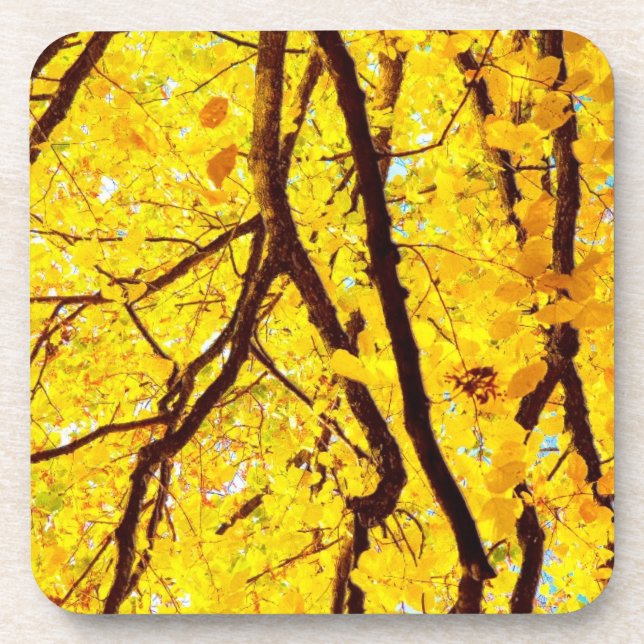 Fall branches - golden yellow drink coaster (Front)