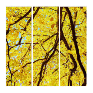Fall branches - golden yellow triptych