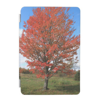 Fall burning red maple tree in the blue sky iPad mini cover