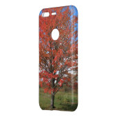 Fall burning red maple tree in the blue sky  uncommon google pixel case (Back/Left)