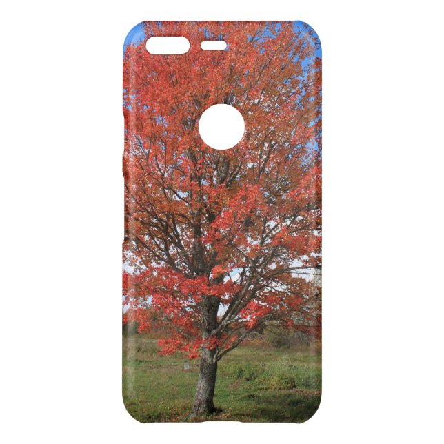 Fall burning red maple tree in the blue sky  uncommon google pixel case (Back)
