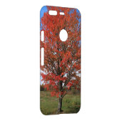 Fall burning red maple tree in the blue sky  uncommon google pixel case (Back/Right)