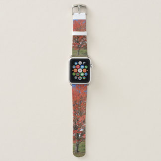 Fall burning red maple tree picture apple watch band