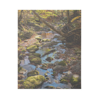 Fall by a Creek in the Catskill Mountains Gallery Wrap