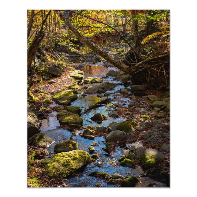 Fall by a Creek in the Catskill Mountains Photo Print (Front)
