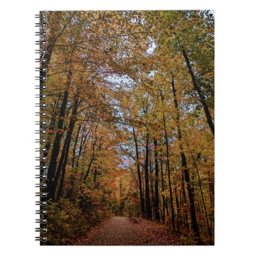 Fall Canopy of Color Notebook