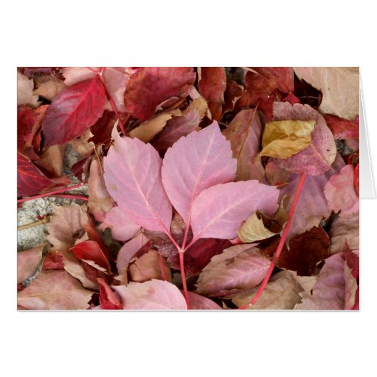 Fall Card (Front Horizontal)