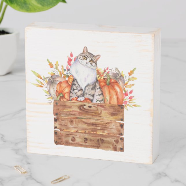 Fall cat and pumpkins in box  (In Situ Horizontal)