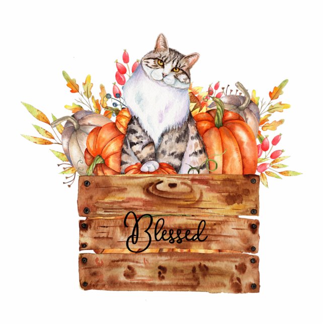 Fall cat and pumpkins in box custom magnet (Front)