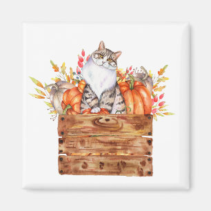 Fall cat and pumpkins in box magnet