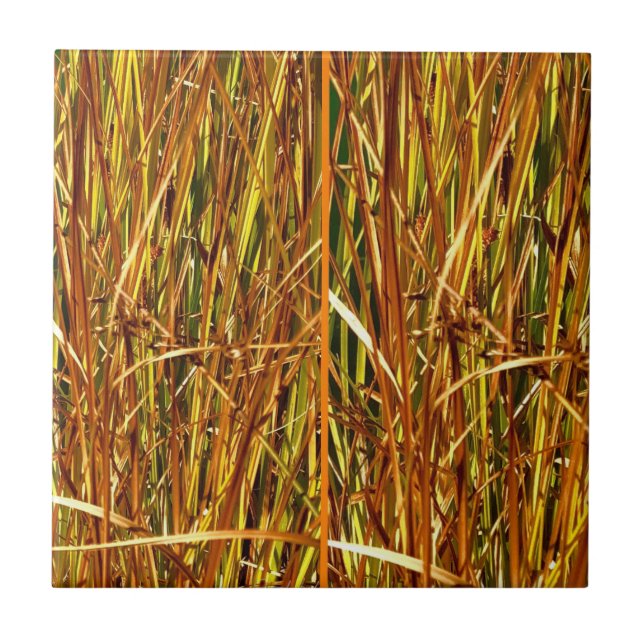Fall Cattails Ceramic Tile (Front)