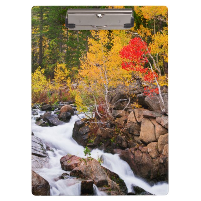 Fall color along Bishop Creek, CA Clipboard (Front)