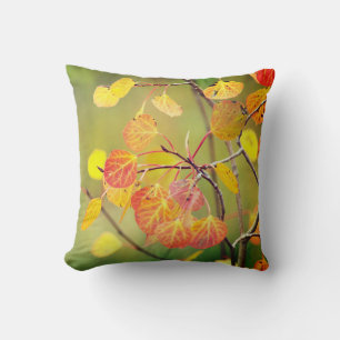 Fall Color Aspen Leaves Photograph Throw Pillow