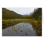 Fall Color at Cub Lake Cards