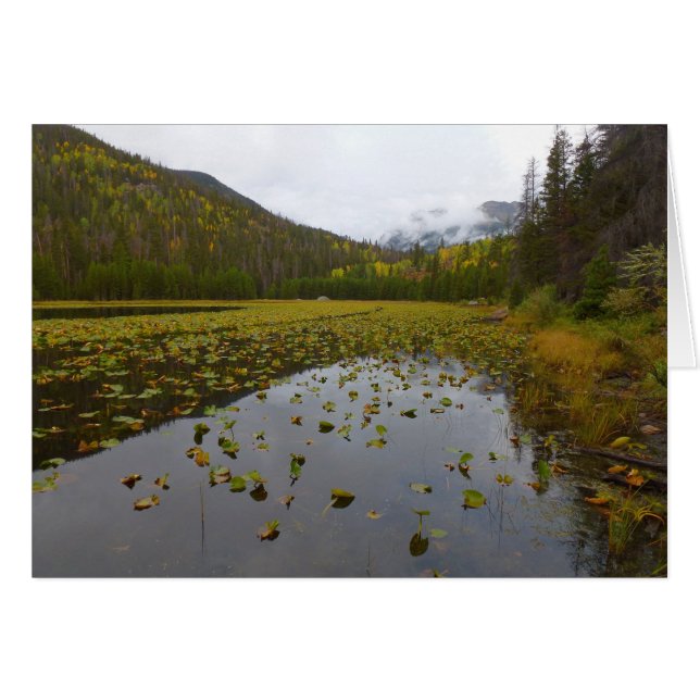 Fall Color at Cub Lake Cards (Front Horizontal)