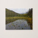 Fall Color at Cub Lake Jigsaw Puzzle