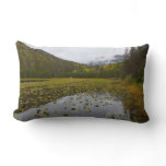 Fall Color at Cub Lake Lumbar Pillow
