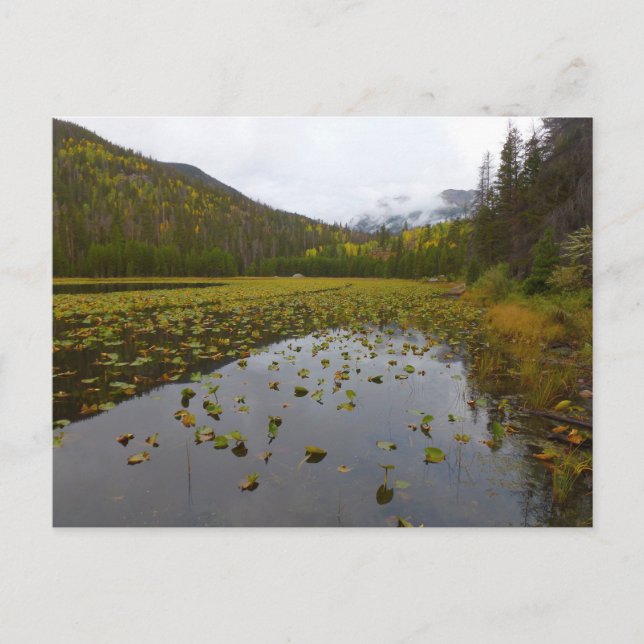 Fall Color at Cub Lake Postcard (Front)