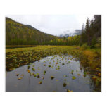 Fall Color at Cub Lake Poster