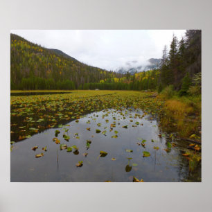 Fall Color at Cub Lake Poster