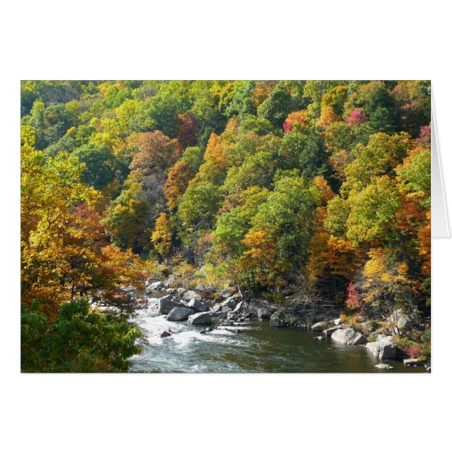 Fall Color at Ohiopyle State Park (Front Horizontal)