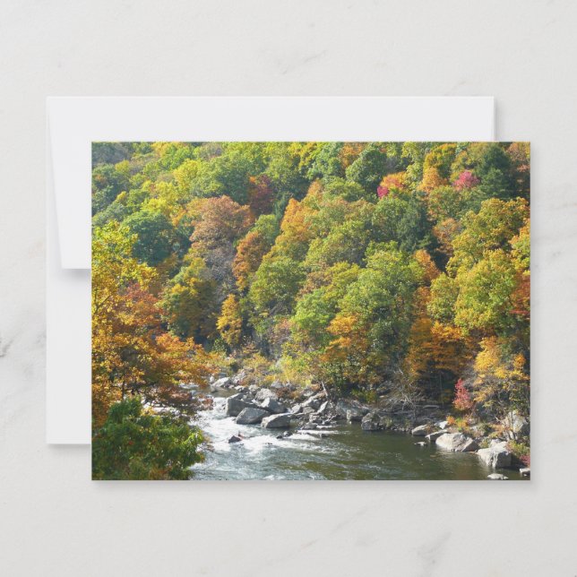 Fall Color at Ohiopyle State Park (Front)