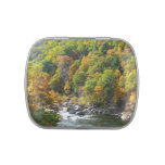 Fall Color at Ohiopyle State Park Candy Tin